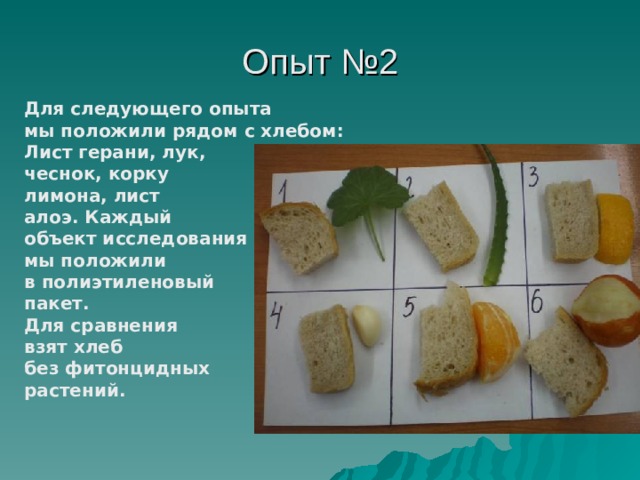 Опыт №2 Для следующего опыта мы положили рядом с хлебом: Лист герани, лук, чеснок, корку лимона, лист алоэ. Каждый объект исследования мы положили в полиэтиленовый пакет. Для сравнения взят хлеб без фитонцидных растений. 