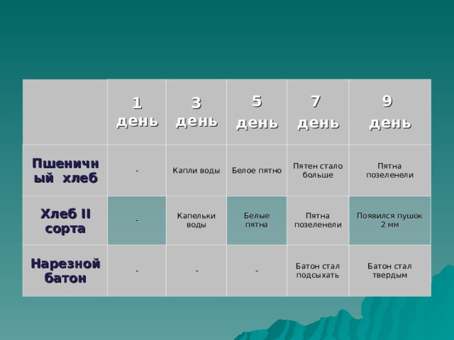 1 день Пшеничный хлеб - 3 день Хлеб II сорта Нарезной батон Капли воды 5 день - Белое пятно - Капельки воды 7 день 9 день - Белые пятна Пятен стало больше Пятна позеленели - Пятна позеленели Появился пушок 2 мм Батон стал подсыхать Батон стал твердым 