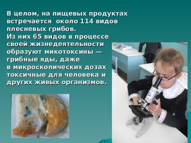          В целом, на пищевых продуктах  встречается около 114 видов  плесневых грибов.  Из них 65 видов в процессе  своей жизнедеятельности  образуют микотоксины —  грибные яды, даже  в микроскопических дозах  токсичные для человека и  других живых организмов. 