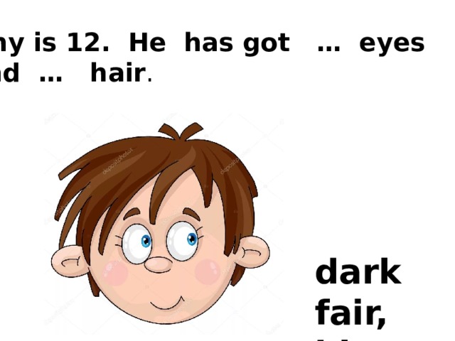 He got green eyes. I have got Blue Eyes. He has got. Has he got Dark hair. She has got.