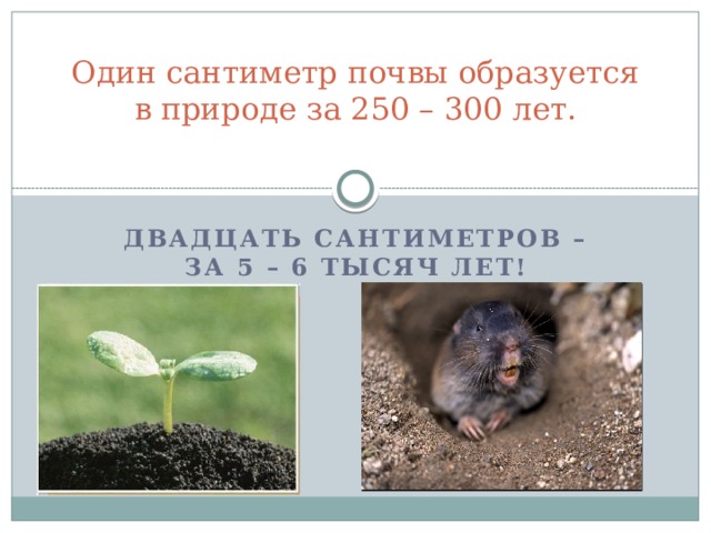 Один сантиметр почвы образуется в природе за 250 – 300 лет.   Двадцать сантиметров – за 5 – 6 тысяч лет! 