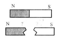 Полосовой магнит распилили пополам как показано на рисунке какими магнитными полюсами станут концы