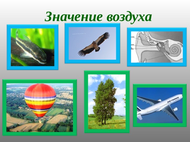 Воздух 4 значение. Значение воздуха для человека. Значение воздуха в жизни человека. Биологическое значение воздуха для человека. Значение воздуха схема.