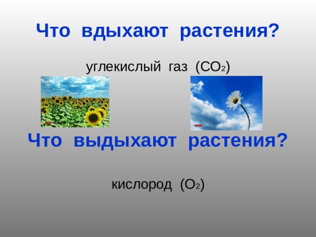 Проект воздух 2 класс Презентация по окружающему миру на тему:"Воздух."(3 класс)