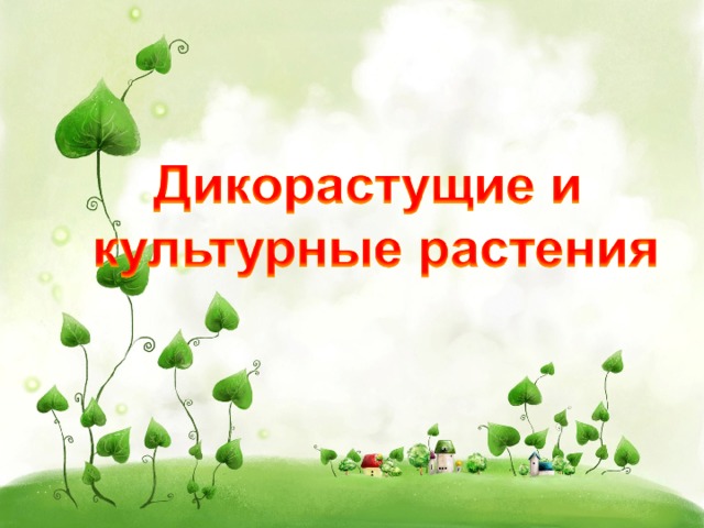 Дикорастущие растения 2 класс плешаков. Комнатные и дикорастущие и культурные растения. Культурные и дикорастущие растения 3 класс. Фон культурные и дикорастущие растения. Дикорастущие растения презентация.