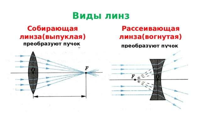 Виды линз Рассеивающая линза(вогнутая) Собирающая линза(выпуклая)  преобразуют пучок параллельных лучей в сходящийся и собирают его в одну точку) преобразуют пучок параллельных лучей в расходящийся)   