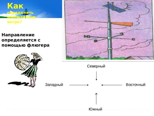 Южный северный западный восточный ветер