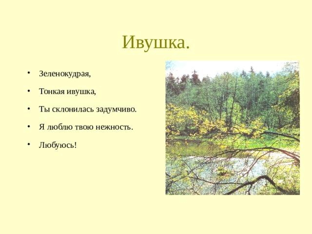 Песня ивушки текст. Стихи про Ивушку. Ивушка зеленая текст. Ивушка песня текст. Ивушки слова текст.