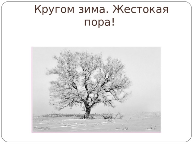 Средства выразительности учись у дуба у березы