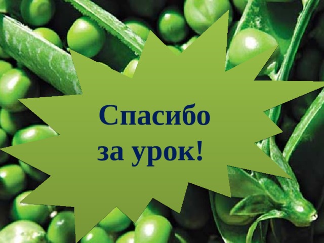 Спасибо за урок! 