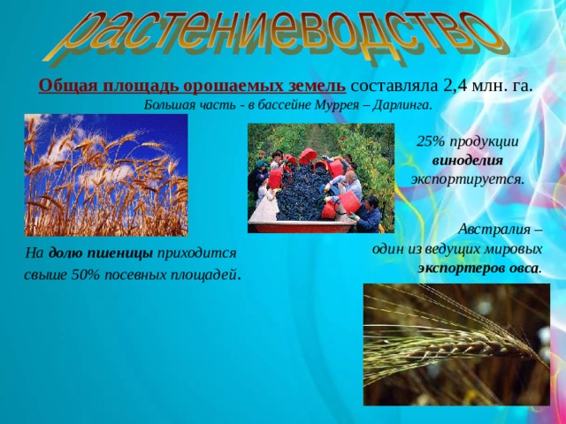 Общая площадь орошаемых земель составляла 2,4 млн. га. Большая часть - в бассейне Муррея – Дарлинга. 25% продукции виноделия экспортируется.  Австралия – один из ведущих мировых экспортеров овса . На долю пшеницы приходится  свыше 50% посевных площадей . 