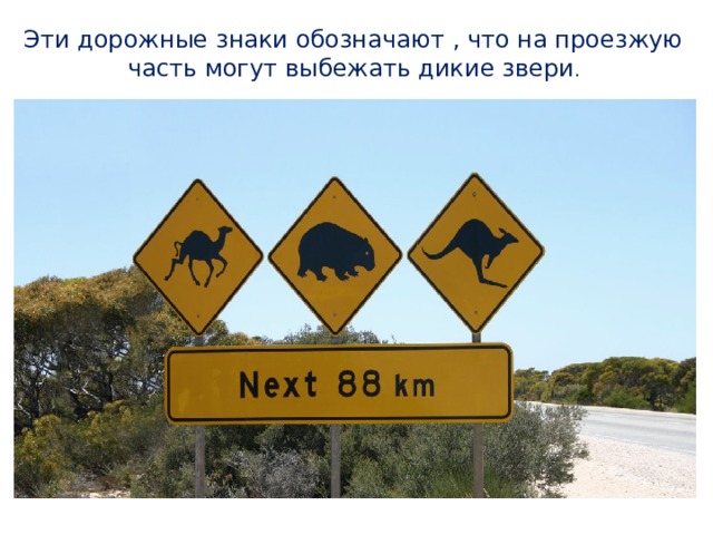 Эти дорожные знаки обозначают , что на проезжую часть могут выбежать дикие звери . 