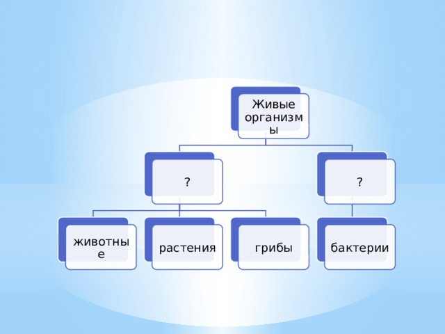 Живые организмы ? ? грибы растения животные бактерии 