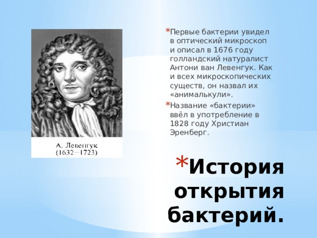 Первые бактерии увидел в оптический микроскоп и описал в 1676 году голландский натуралист Антони ван Левенгук. Как и всех микроскопических существ, он назвал их «анималькули». Название «бактерии» ввёл в употребление в 1828 году Христиан Эренберг. История открытия бактерий. 