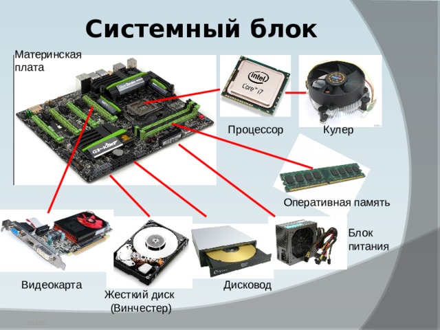 Системный блок Материнская плата Кулер Процессор Оперативная память Блок питания Видеокарта Дисковод Жесткий диск (Винчестер) 2/11/20 