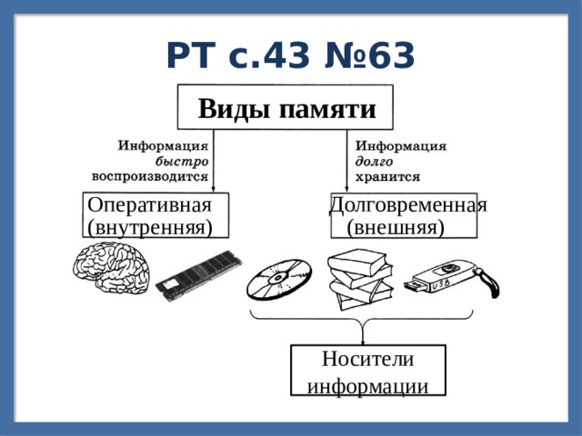 Заполни схему хранения информации