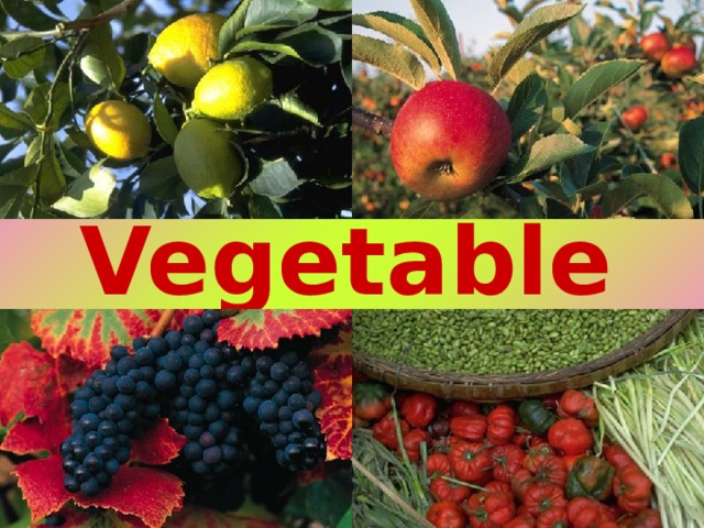 Fruit and Vegetables 