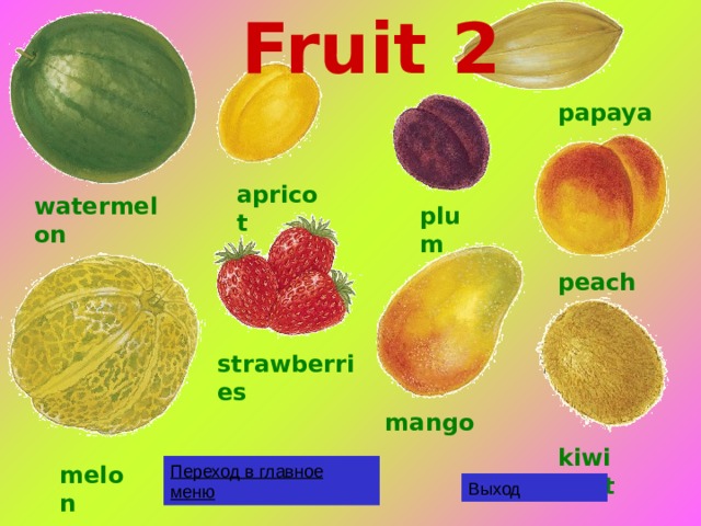 Fruit 2 papaya apricot watermelon plum peach strawberries mango kiwi fruit melon Переход в главное меню Выход 
