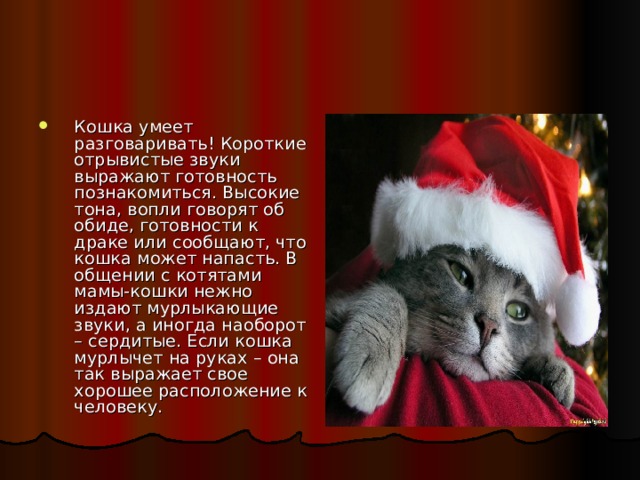 Кошка умеет разговаривать! Короткие отрывистые звуки выражают готовность познакомиться. Высокие тона, вопли говорят об обиде, готовности к драке или сообщают, что кошка может напасть. В общении с котятами мамы-кошки нежно издают мурлыкающие звуки, а иногда наоборот – сердитые. Если кошка мурлычет на руках – она так выражает свое хорошее расположение к человеку. 