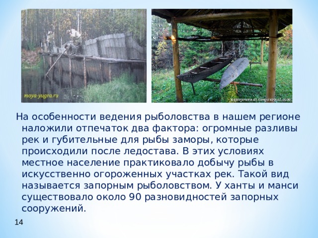 На особенности ведения рыболовства в нашем регионе наложили отпечаток два фактора: огромные разливы рек и губительные для рыбы заморы, которые происходили после ледостава. В этих условиях местное население практиковало добычу рыбы в искусственно огороженных участках рек. Такой вид называется запорным рыболовством. У ханты и манси существовало около 90 разновидностей запорных сооружений. 14 