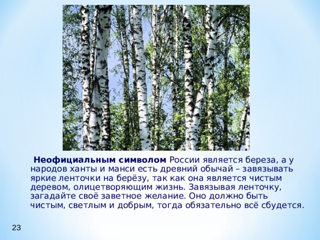  Неофициальным символом России является береза, а у народов ханты и манси есть древний обычай – завязывать яркие ленточки на берёзу, так как она является чистым деревом, олицетворяющим жизнь. Завязывая ленточку, загадайте своё заветное желание. Оно должно быть чистым, светлым и добрым, тогда обязательно всё сбудется. 23 