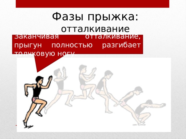 Фазы прыжка: отталкивание Заканчивая отталкивание, прыгун полностью разгибает толчковую ногу. 