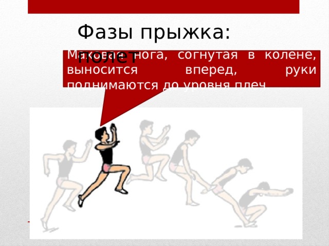 Фазы прыжка: полет Маховая нога, согнутая в колене, выносится вперед, руки поднимаются до уровня плеч. 