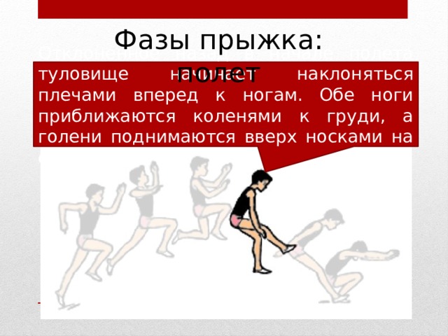 Фазы прыжка: полет Отклоненное назад в начале полета туловище начинает наклоняться плечами вперед к ногам. Обе ноги приближаются коленями к груди, а голени поднимаются вверх носками на себя. 