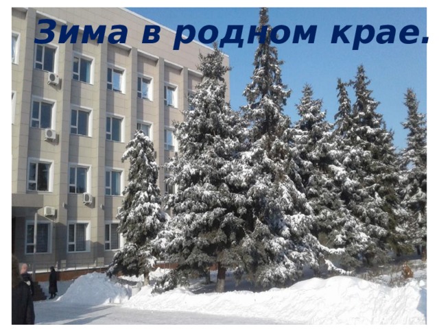 Зима в родном крае. 