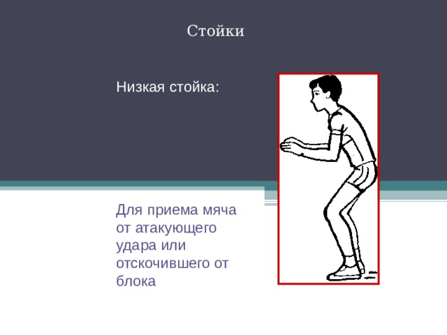 Какой должна быть исходная стойка игрока. Защитная стойка в волейболе. Высокая средняя и низкая стойка в волейболе. Прием мяча в низкой стойке. Низкая стойка в волейболе.