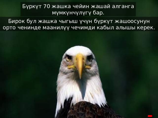 Бүркүт 70 жашка чейин жашай алганга мүмкүнчүлүгү бар . Бирок бул жашка чыгыш үчүн бүркүт жашоосунун орто ченинде маанилүү чечимди кабыл алышы керек . okay 