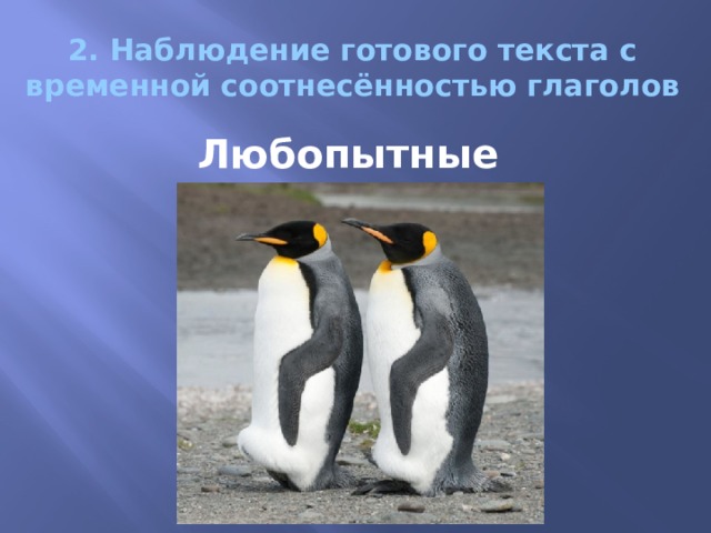 2. Наблюдение готового текста с временной соотнесённостью глаголов Любопытные 