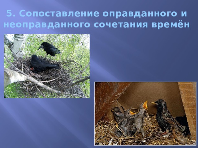 5. Сопоставление оправданного и неоправданного сочетания времён  