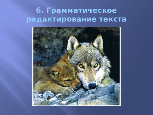 6. Грамматическое редактирование текста 