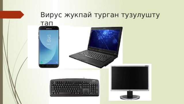 Вирус жукпай турган тузулушту тап 