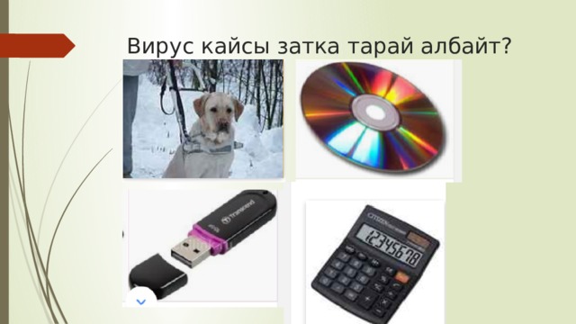 Вирус кайсы затка тарай албайт? 