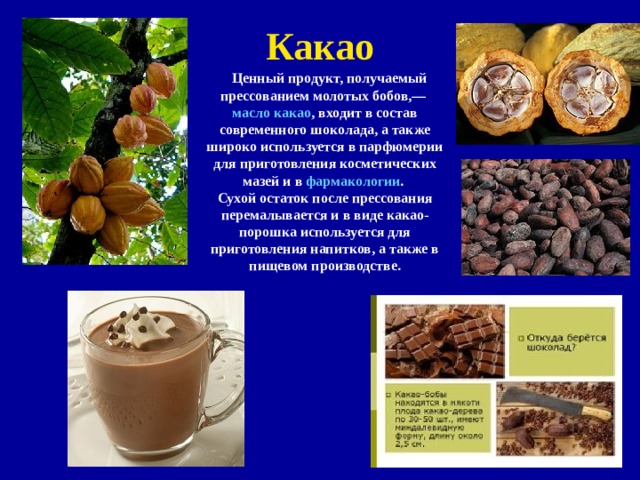 Какао  Ценный продукт, получаемый прессованием молотых бобов,— масло какао , входит в состав современного шоколада, а также широко используется в парфюмерии для приготовления косметических мазей и в фармакологии . Сухой остаток после прессования перемалывается и в виде какао-порошка используется для приготовления напитков, а также в пищевом производстве. 