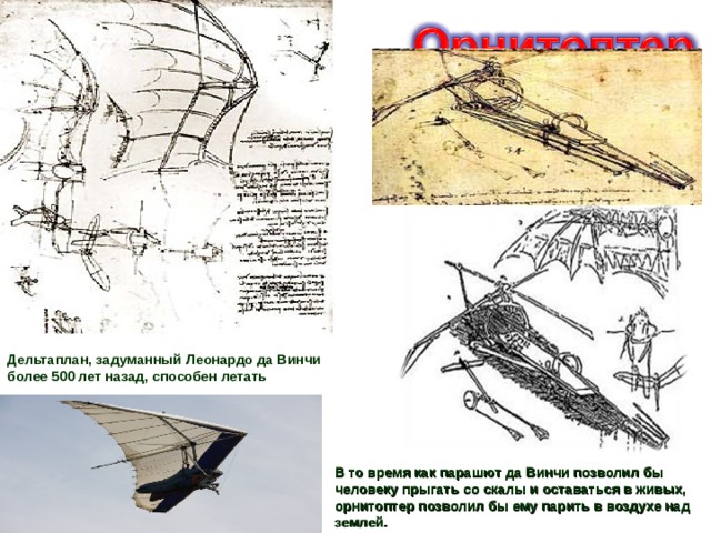 Дельтаплан, задуманный Леонардо да Винчи более 500 лет назад, способен летать В то время как парашют да Винчи позволил бы человеку прыгать со скалы и оставаться в живых, орнитоптер позволил бы ему парить в воздухе над землей. 