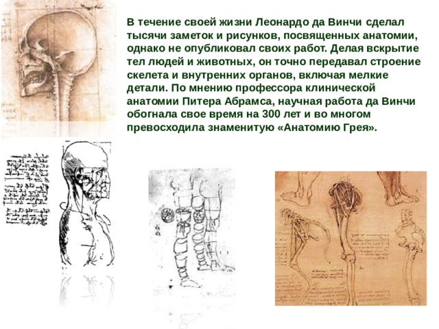 В течение своей жизни Леонардо да Винчи сделал тысячи заметок и рисунков, посвященных анатомии, однако не опубликовал своих работ. Делая вскрытие тел людей и животных, он точно передавал строение скелета и внутренних органов, включая мелкие детали. По мнению профессора клинической анатомии Питера Абрамса, научная работа да Винчи обогнала свое время на 300 лет и во многом превосходила знаменитую «Анатомию Грея». 