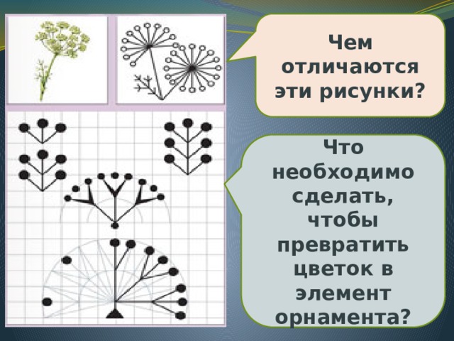 Чем отличаются эти рисунки? Что необходимо сделать, чтобы превратить цветок в элемент орнамента? 