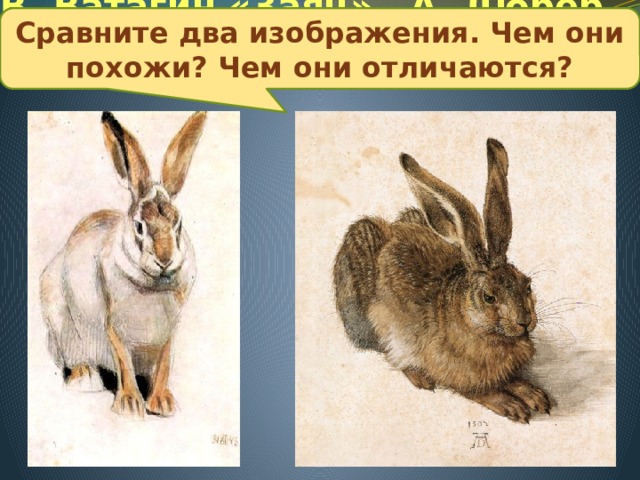 В. Ватагин «Заяц» А. Дюрер «Зайчонок» Сравните два изображения. Чем они похожи? Чем они отличаются? 