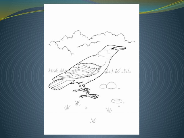 http://images.yandex.ru  