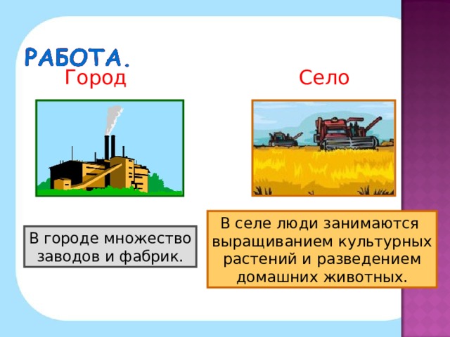 Город Село В селе люди занимаются выращиванием культурных растений и разведением домашних животных. В городе множество заводов и фабрик.