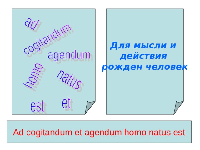 Для мысли и действия рожден человек Ad cogitandum et agendum homo natus est 