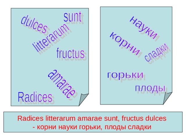  Radices litterarum amarae sunt, fructus dulces - корни науки горьки, плоды сладки  