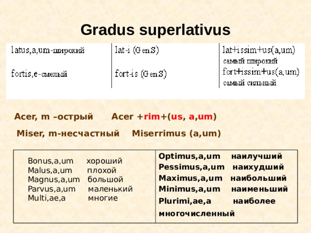 Gradus superlativus Acer, m – острый Acer + rim +( us , a , um )  Miser, m- несчастный Miserrimus (a,um) Optimus , a , um наилучший Pessimus , a , um наихудший Maximus , a , um наибольший Minimus , a , um наименьший Plurimi , ae , a наиболее многочисленный  Bonus,a,um хороший Malus,a,um плохой Magnus,a,um большой Parvus,a,um маленький Multi,ae,a многие 