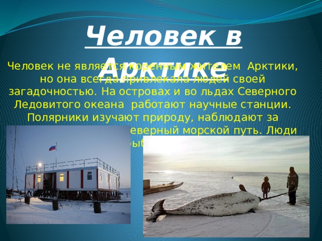 Человек в Арктике Человек не является коренным жителем Арктики, но она всегда привлекала людей своей загадочностью. На островах и во льдах Северного Ледовитого океана работают научные станции. Полярники изучают природу, наблюдают за погодой. Проложен Северный морской путь. Люди занимаются рыболовством, охотой. 