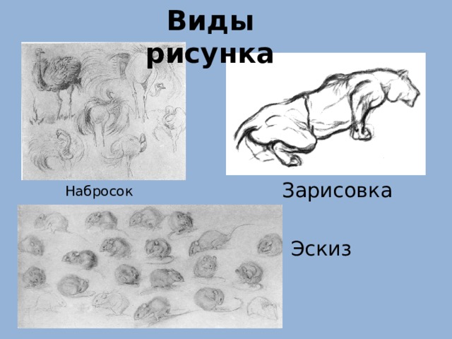 Рисовать какой вид