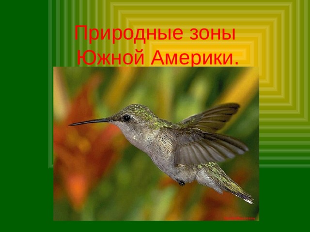 Природные зоны  Южной Америки. 