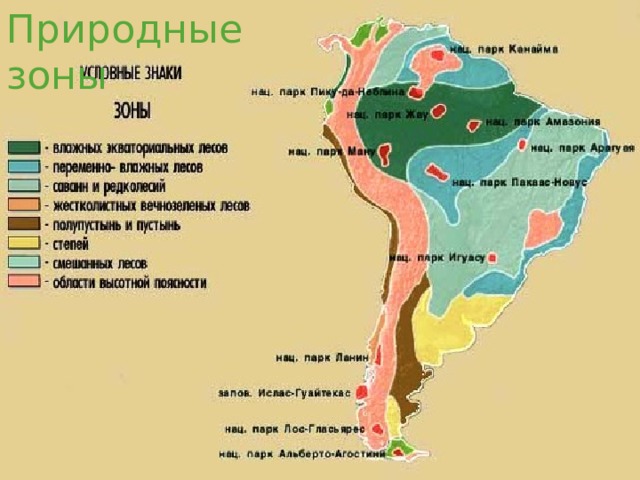 Природные зоны 
